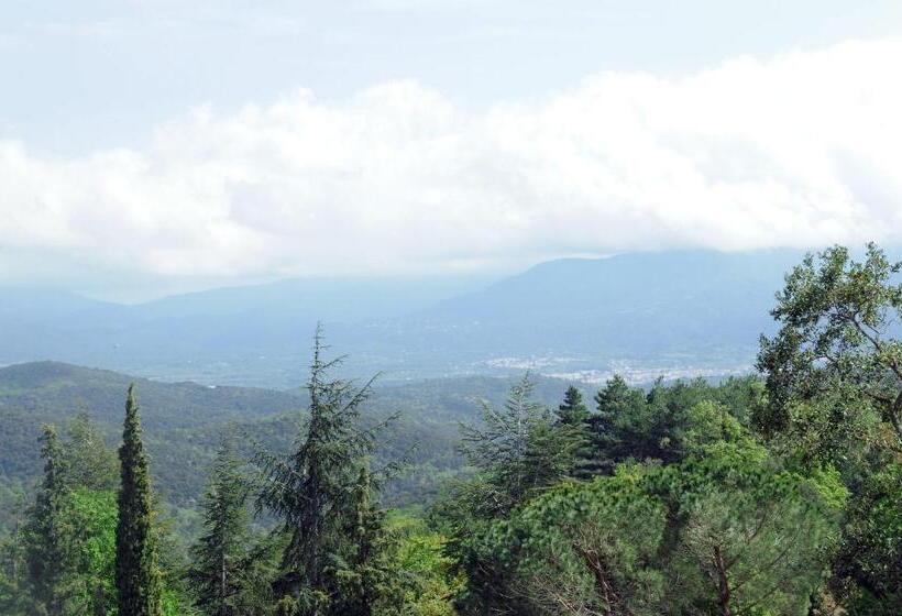 Le Mas Des Colombes Chambres D Hôtes B&b & Spa