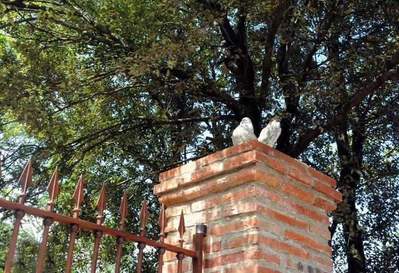 Le Mas Des Colombes Chambres D Hôtes B&b & Spa