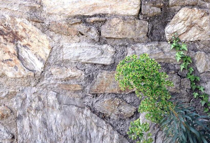 Le Mas Des Colombes Chambres D Hôtes B&b & Spa