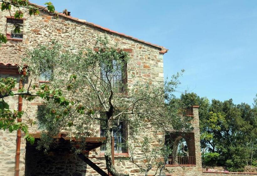 Le Mas Des Colombes Chambres D Hôtes B&b & Spa