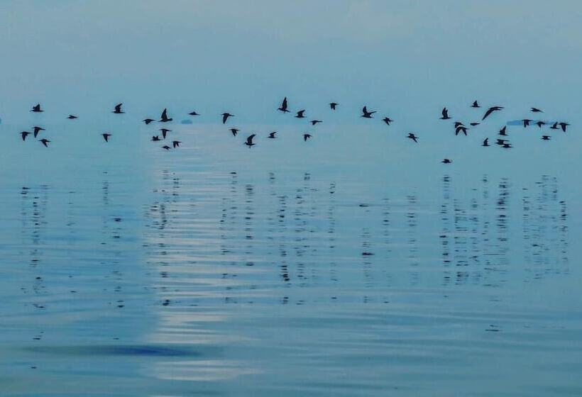 Bed and Breakfast Sea Fans Raja Ampat