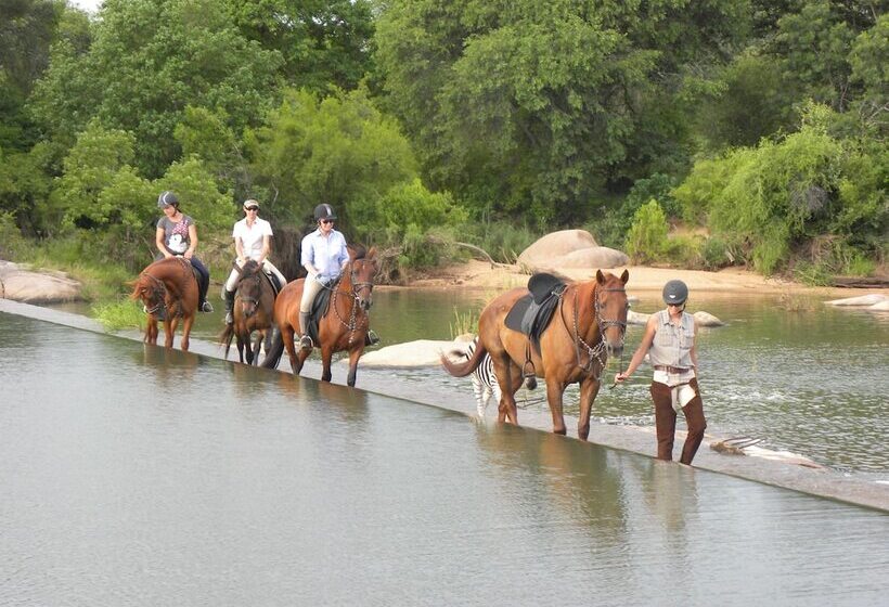 فندق Abelana Safari Camp