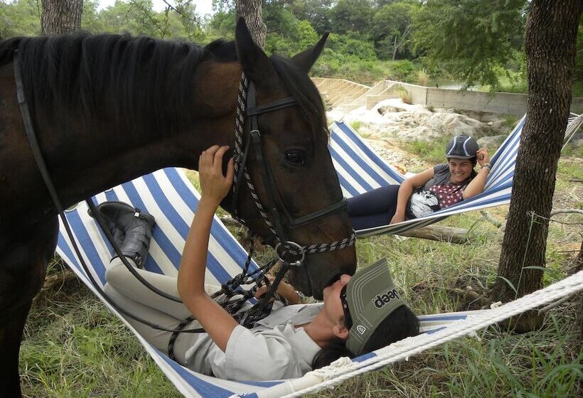 فندق Abelana Safari Camp