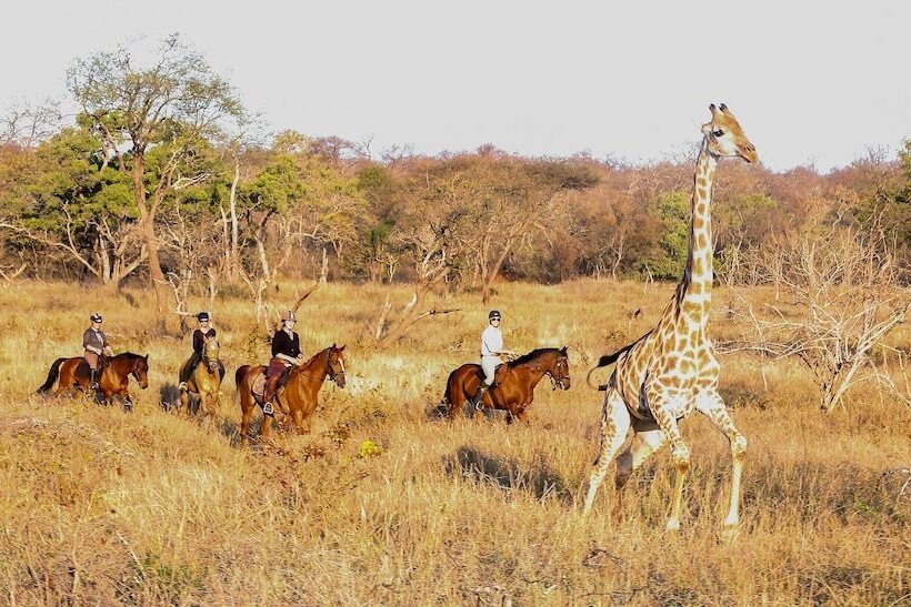 فندق Abelana Safari Camp