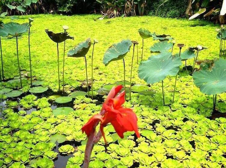 בית מלון כפרי Baan Huay Namrin