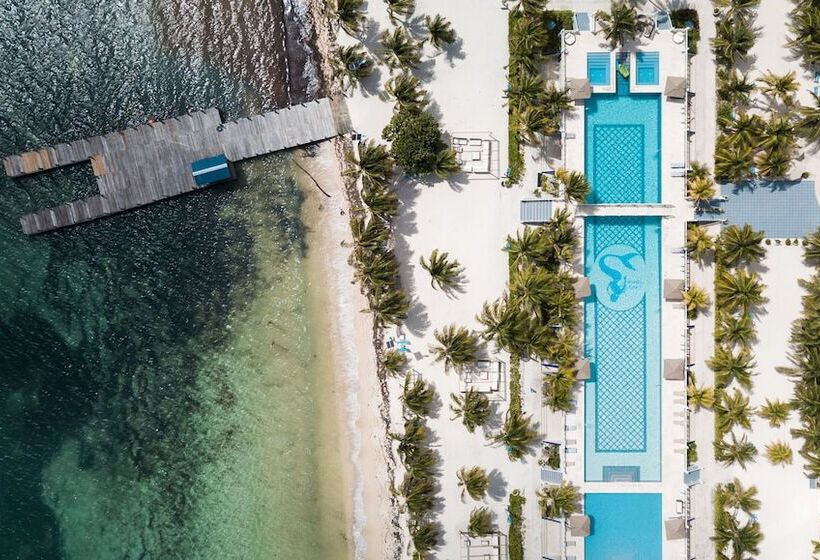 בית מלון כפרי Belize Dive Haven
