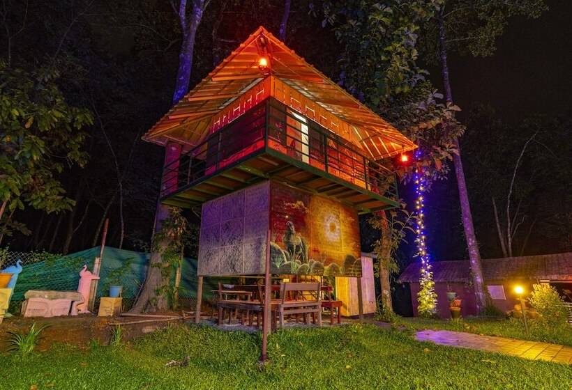 ホテル Budgies Cottage