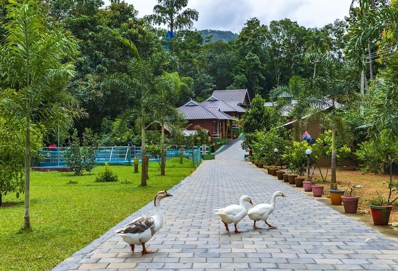 ホテル Budgies Cottage