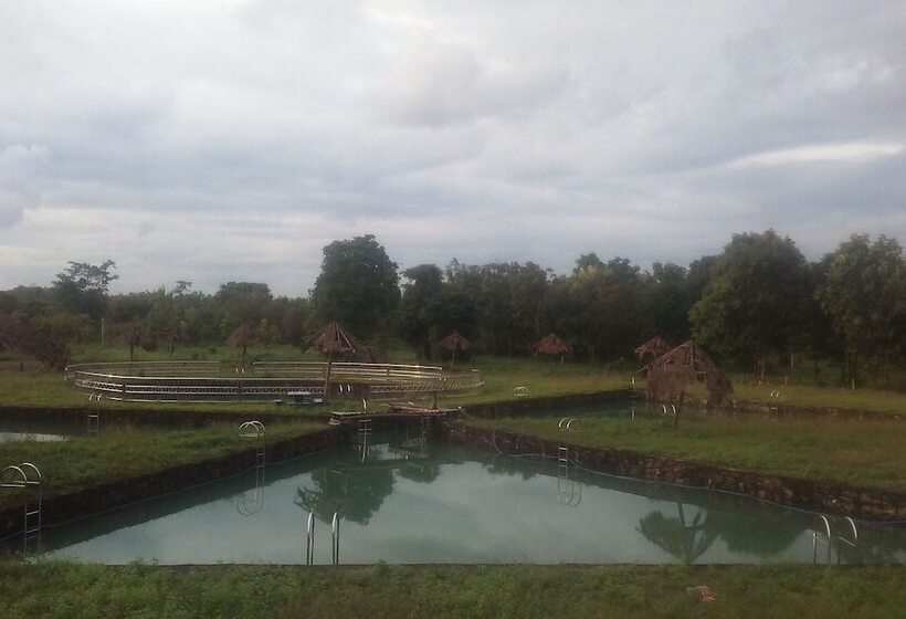 בית מלון כפרי Dream Resort Farm