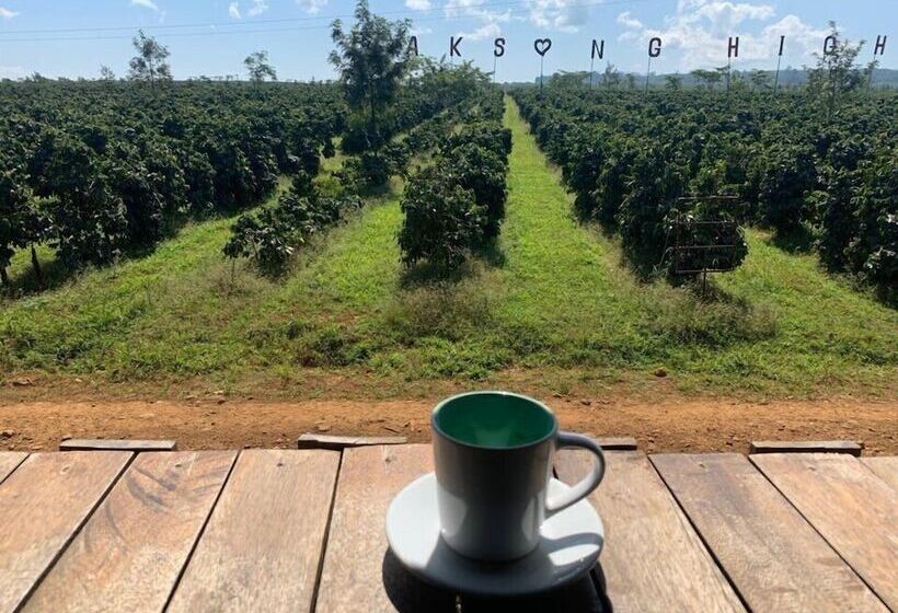 בית מלון כפרי Dream Resort Farm