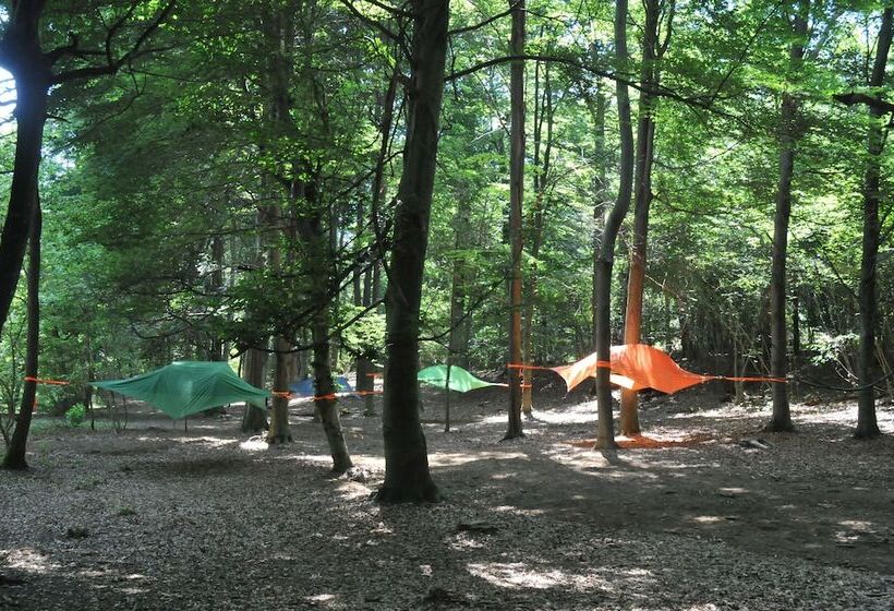 ホテル Future Is Nature Playground