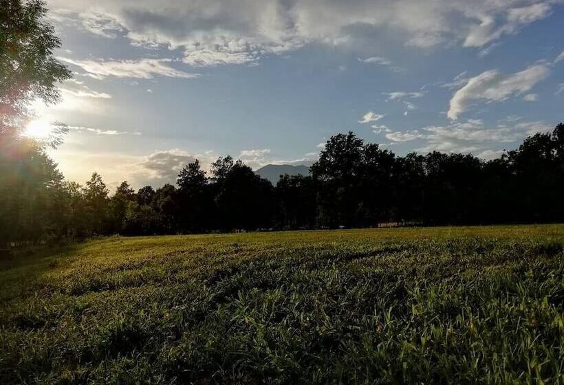 ホテル Future Is Nature Playground