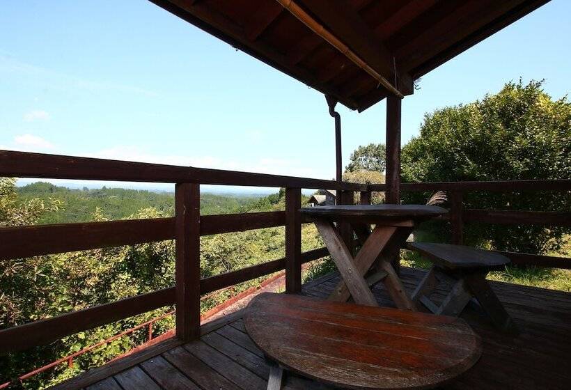 בית מלון כפרי Gokase Campsite Camping And Guesthouse