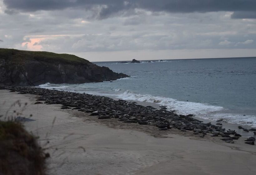 ホテル Great Blasket Island Accommodation