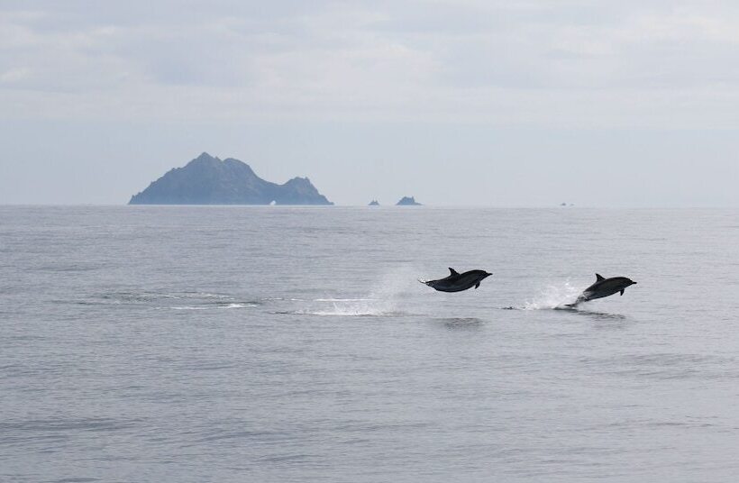 ホテル Great Blasket Island Accommodation