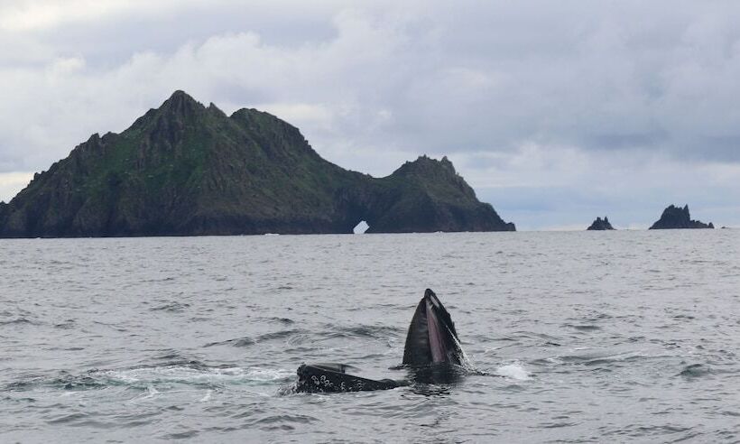 ホテル Great Blasket Island Accommodation