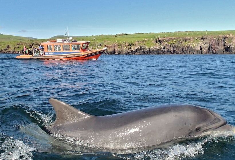 ホテル Great Blasket Island Accommodation