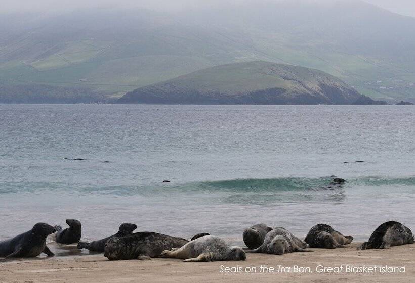 ホテル Great Blasket Island Accommodation