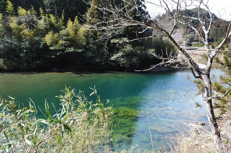 فندق Nature Resort In Shimanto