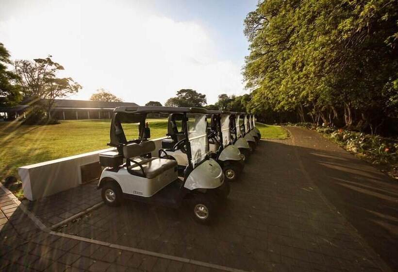 בית מלון כפרי Olivewood