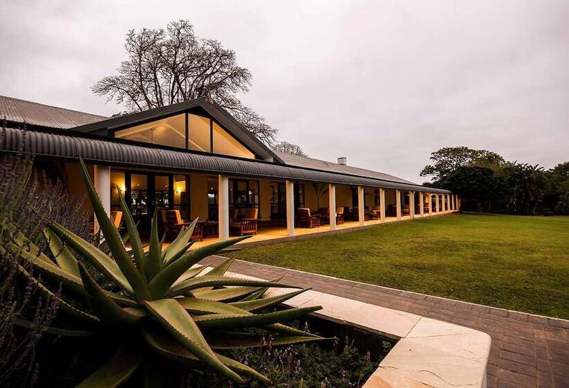 בית מלון כפרי Olivewood