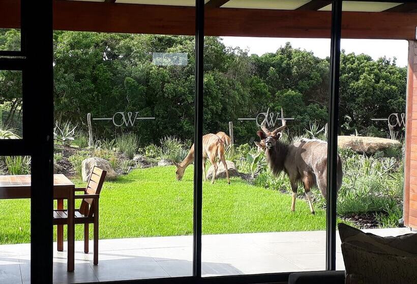 בית מלון כפרי Olivewood