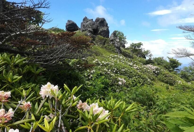 فندق Pension Poka Poka