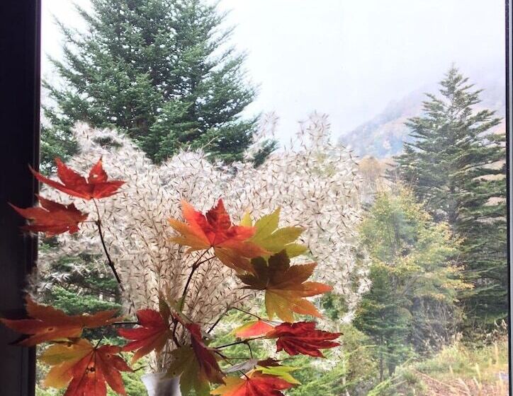 فندق Pension Poka Poka