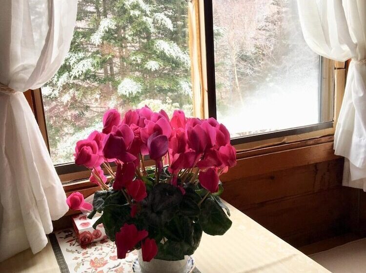 فندق Pension Poka Poka