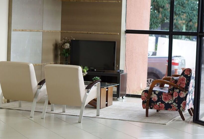 Apides Palace Hotel Ltda