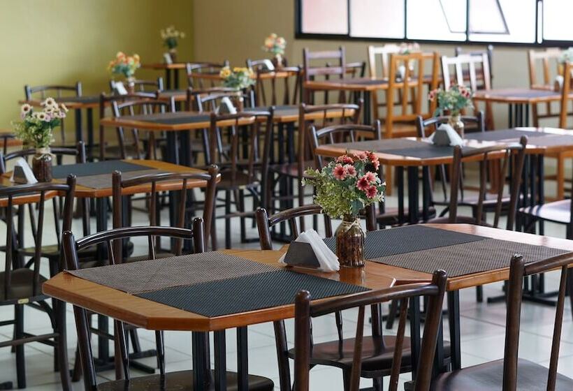 Apides Palace Hotel Ltda