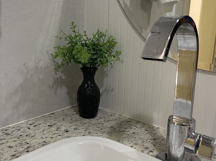 Apides Palace Hotel Ltda