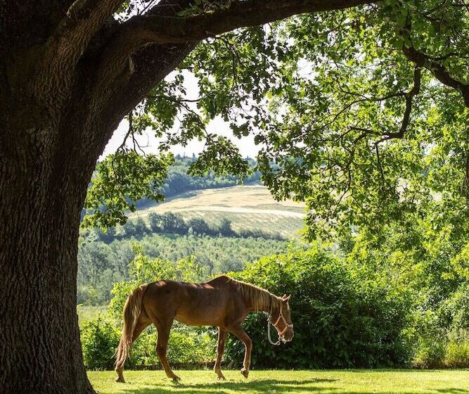 田舎風ホテル Agriturismo Molino Nuovo