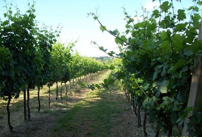 田舎風ホテル Agriturismo Molino Nuovo