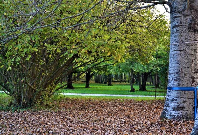 בית מלון כפרי Agriturismo Pra  D Arca