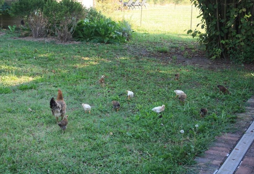 교외 호텔 Agriturismo Valgrande