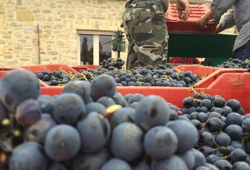 فندق ريفى Azienda Agricola Perconti