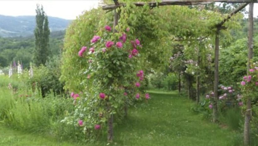 فندق ريفى Le Jardin De Beyssin