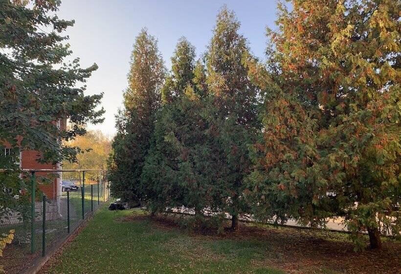 هتل Swedish Village