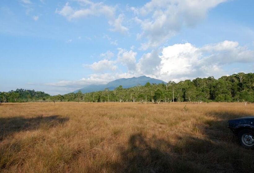 酒店 The Camp Resort