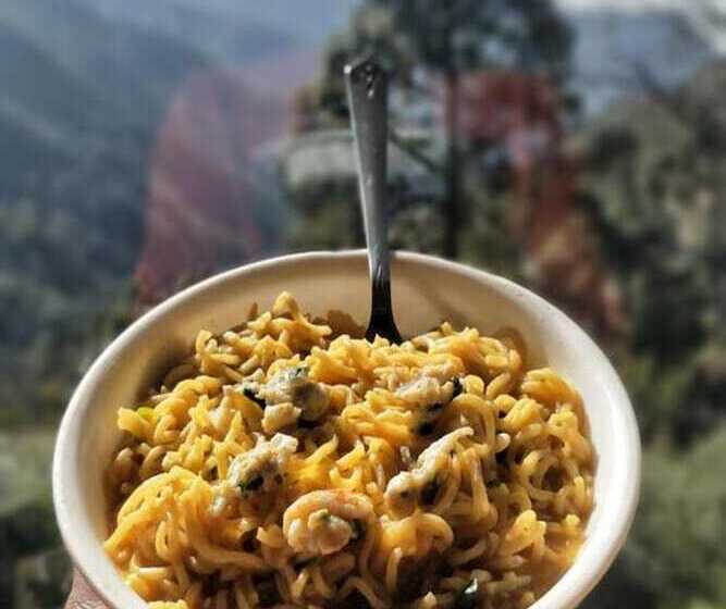 فندق The Cocoon Camps & Nature Resorts