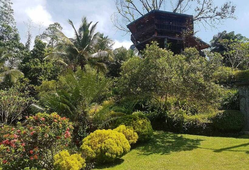 בית מלון כפרי Thevni Holiday Resort