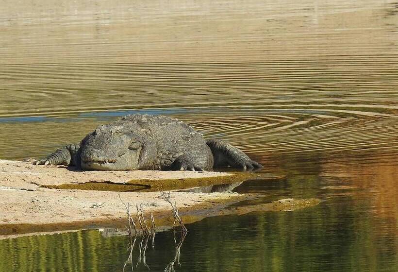 فندق Thour Nature Resorts