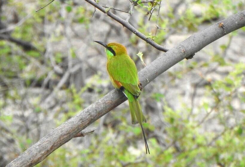 فندق Thour Nature Resorts