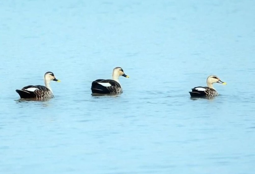 فندق Thour Nature Resorts