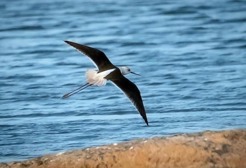 فندق Thour Nature Resorts