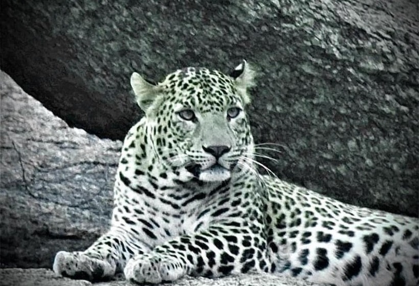 فندق Thour Nature Resorts