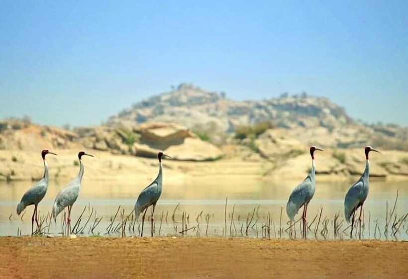 فندق Thour Nature Resorts