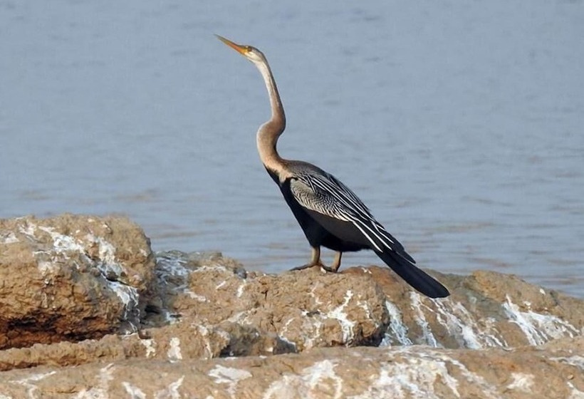 فندق Thour Nature Resorts