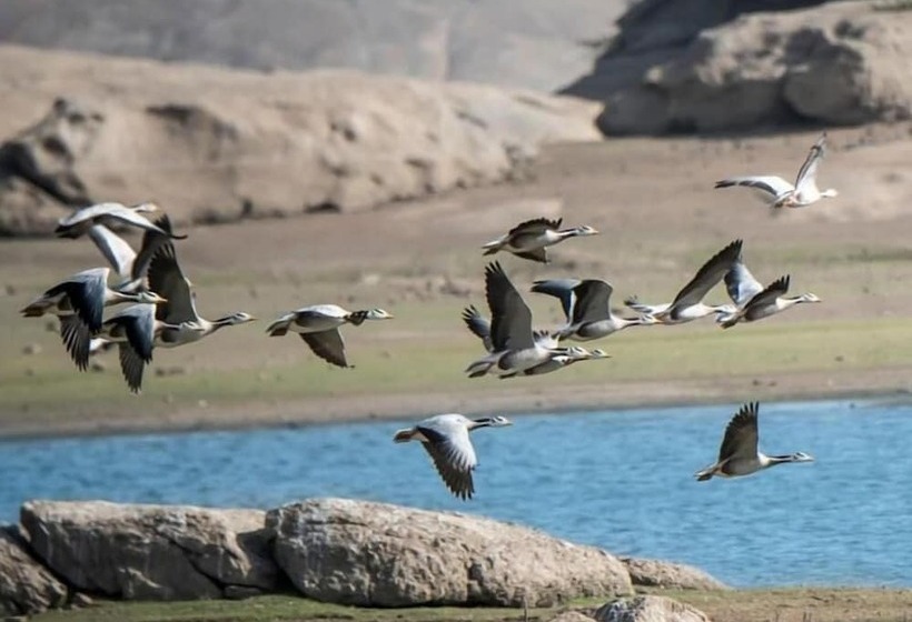 فندق Thour Nature Resorts